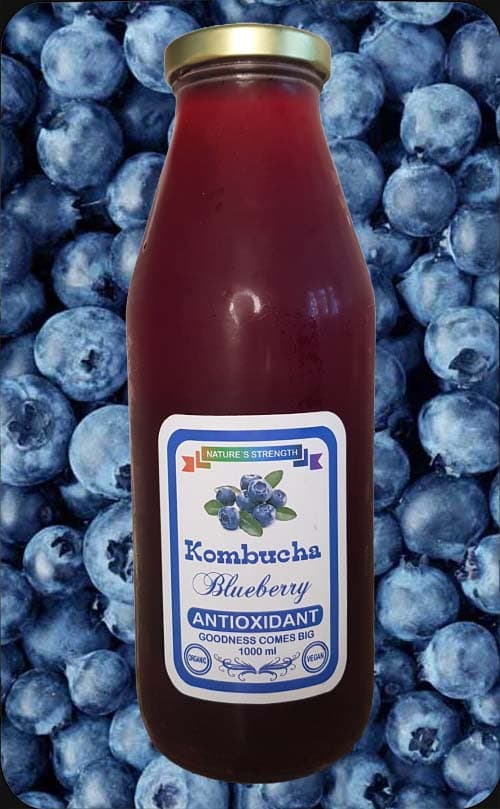 Blueberry Kombucha