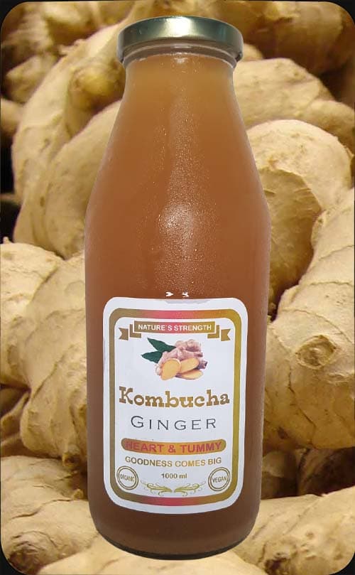 Ginger Kombucha