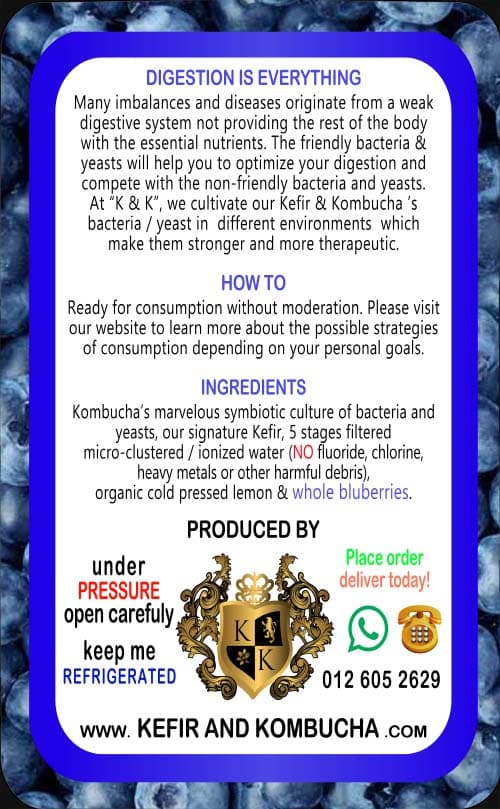 Blueberry Kombucha — back label