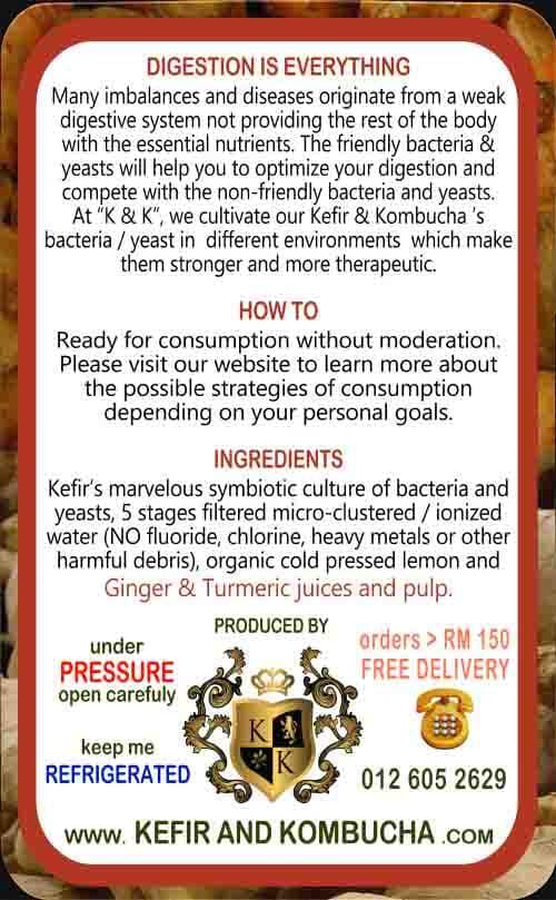 Ginger Turmeric Kefir — back label
