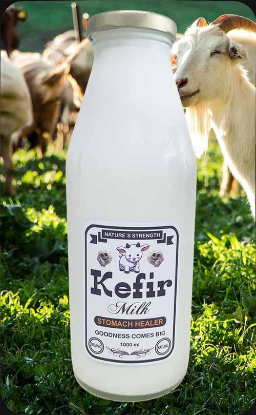 Goat Milk Kefir