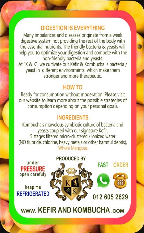 Mango Kombucha — back label