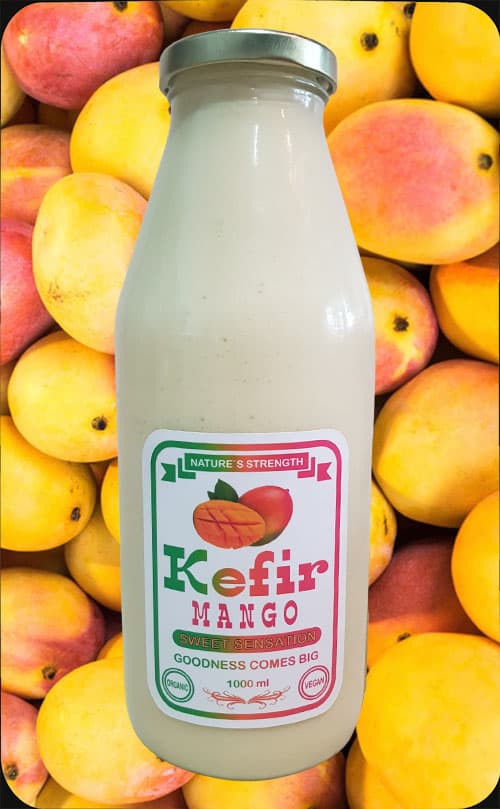 Mango Milk Kefir