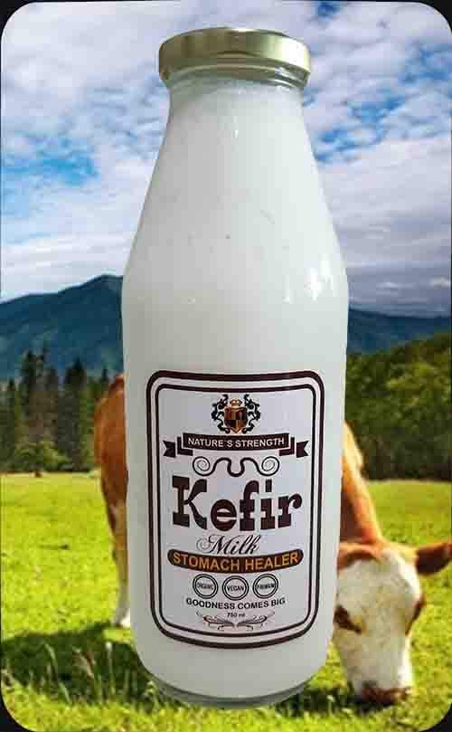 Pure Milk Kefir
