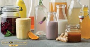 Probiotics by Kefir & Kombucha Malaysia