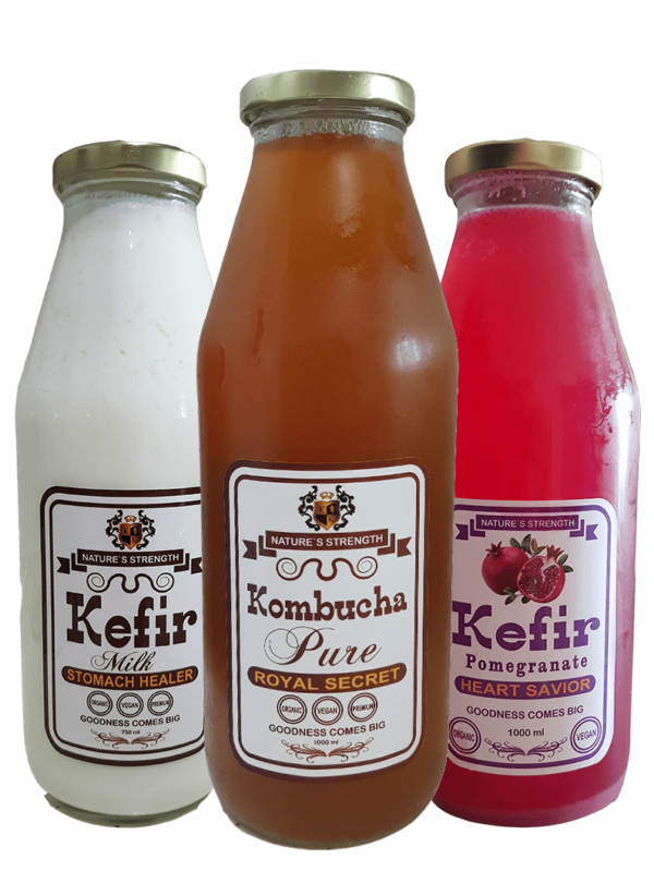 Kefir & Kombucha Malaysia