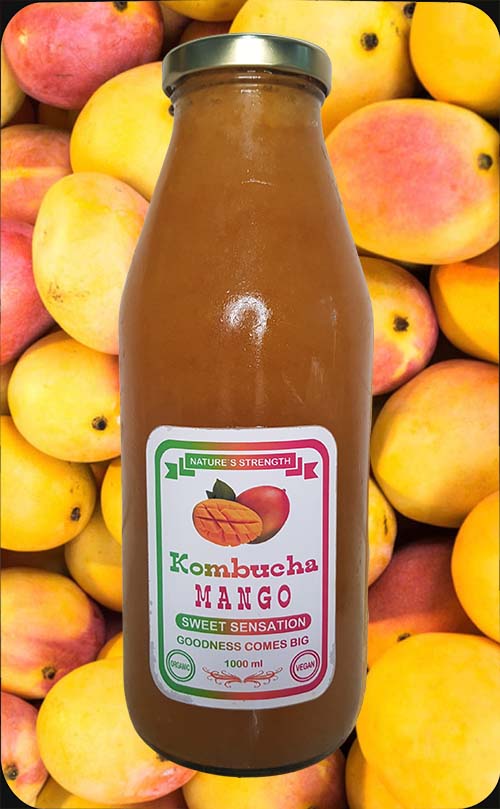 Mango Kombucha in Kuala Lumpur Malaysia buy best delivery